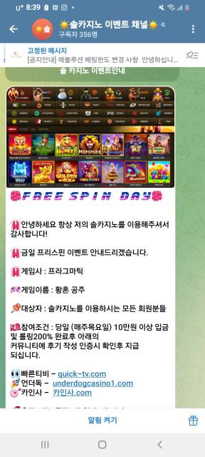 솔카후기